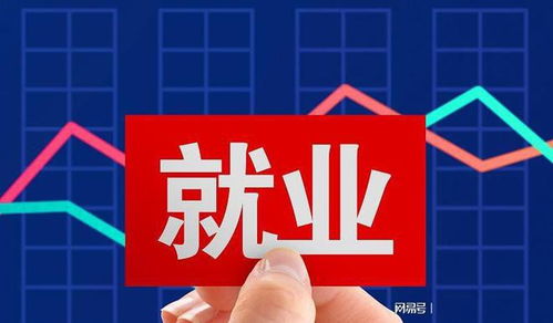 高學(xué)歷就業(yè)困局與破局之道 職業(yè)技能培訓(xùn)的調(diào)節(jié)作用