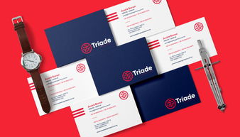 專業塑造信任 Triade工業品檢測企業品牌VI形象設計與企業形象策劃