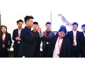 山東鼎基信息技術 深耕臨沂網站建設與網絡推廣，助力企業實現數字化騰飛